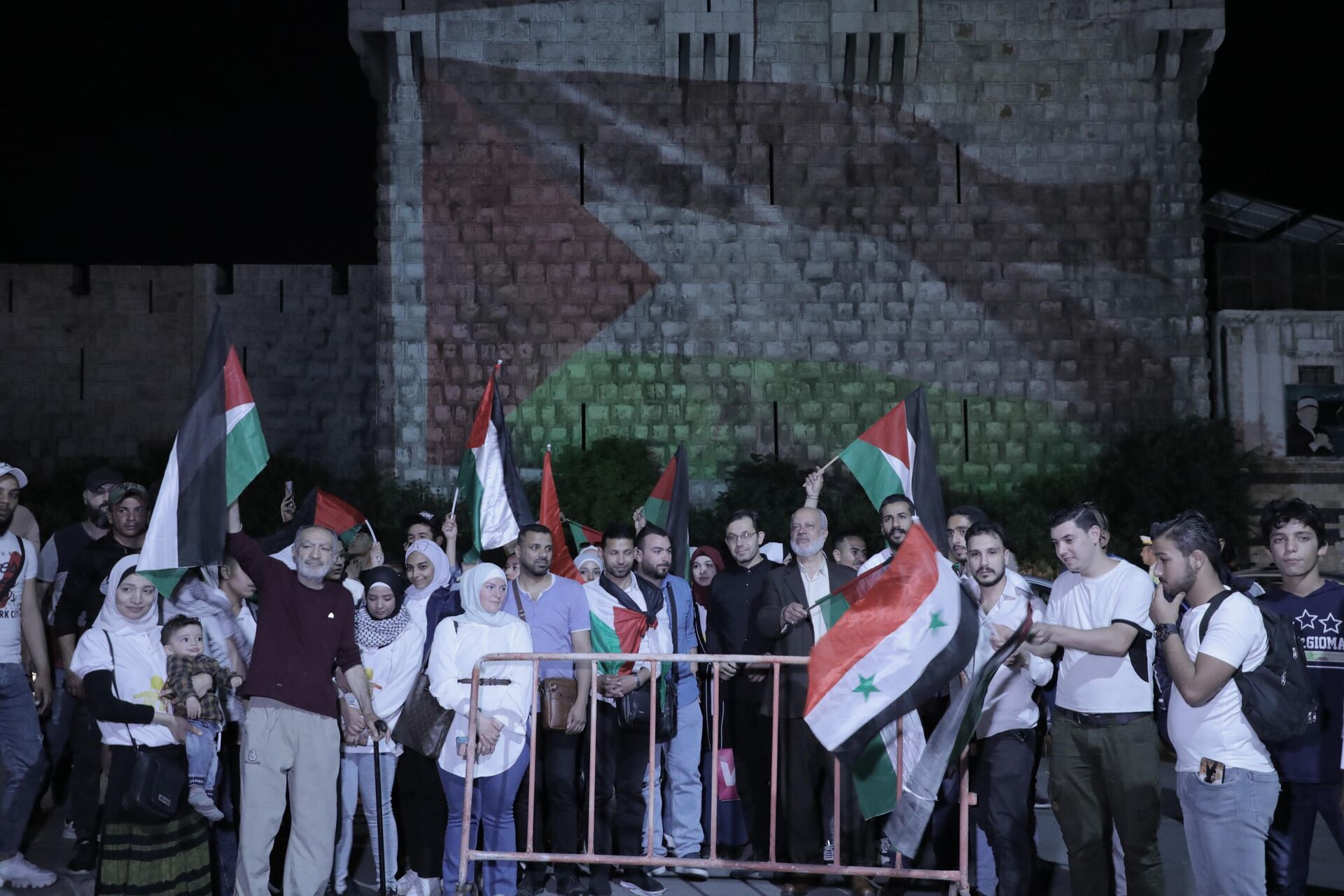 في الذكرى 75 للنكبة.. علم فلسطين مضاءً على جدران قلعة دمشق - سبوتنيك عربي, 1920, 16.05.2023