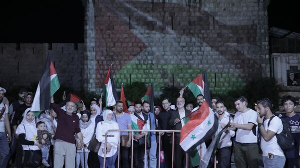 في الذكرى 75 للنكبة.. علم فلسطين مضاءً على جدران قلعة دمشق - سبوتنيك عربي