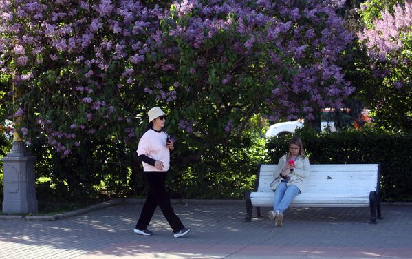 أشخاص يتنزهون بالقرب من شجيرة الليلك البنفسجية مزهرة في موسكو. - سبوتنيك عربي