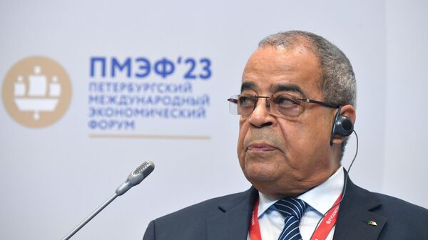 وزير الصناعة والانتاج الدوائي الجزائري علي عون  في منتدى سانت بطرسبورغ الاقتصادي الدولي - سبوتنيك عربي