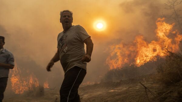 رد فعل مواطن محلي عندما اشتعلت النيران في الأشجار في قرية جينادي، في جزيرة رودس في بحر إيجه، جنوب شرق اليونان، يوم 25 يوليو  2023. - سبوتنيك عربي