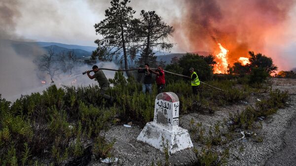 يحاول رجال الإطفاء إخماد حريق غابات مستعرة بالقرب من بلدة ملولا في شمال غرب تونس بالقرب من الحدود مع الجزائر، يوم 24 يوليو 2023. - سبوتنيك عربي