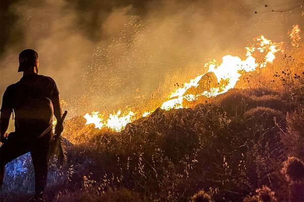 رجل ينظر إلى حريق مشتعل على أحد التلال في بلدة إبل السقي في جنوب لبنان في وقت مبكر من يوم 14 يوليو 2023 خلال موجة حر. - سبوتنيك عربي