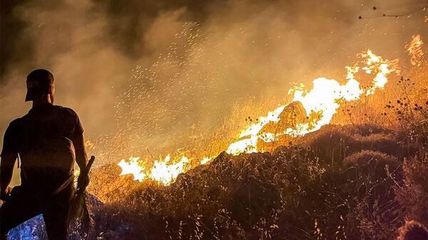 رجل ينظر إلى حريق مشتعل على أحد التلال في بلدة إبل السقي بجنوب لبنان في وقت مبكر من يوم 14 يوليو 2023 خلال موجة حر. - سبوتنيك عربي