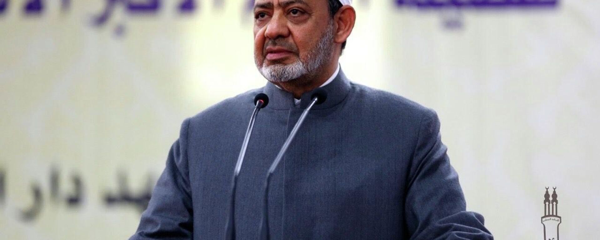 شيخ الأزهر الإمام أحمد الطيب – وطن نيوز العربية، 1920، 17/10/2023