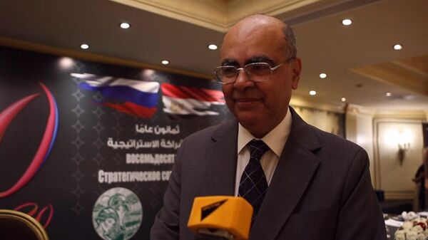 الدكتور علاء الحديدي السفير المصري السابق في روسيا - سبوتنيك عربي