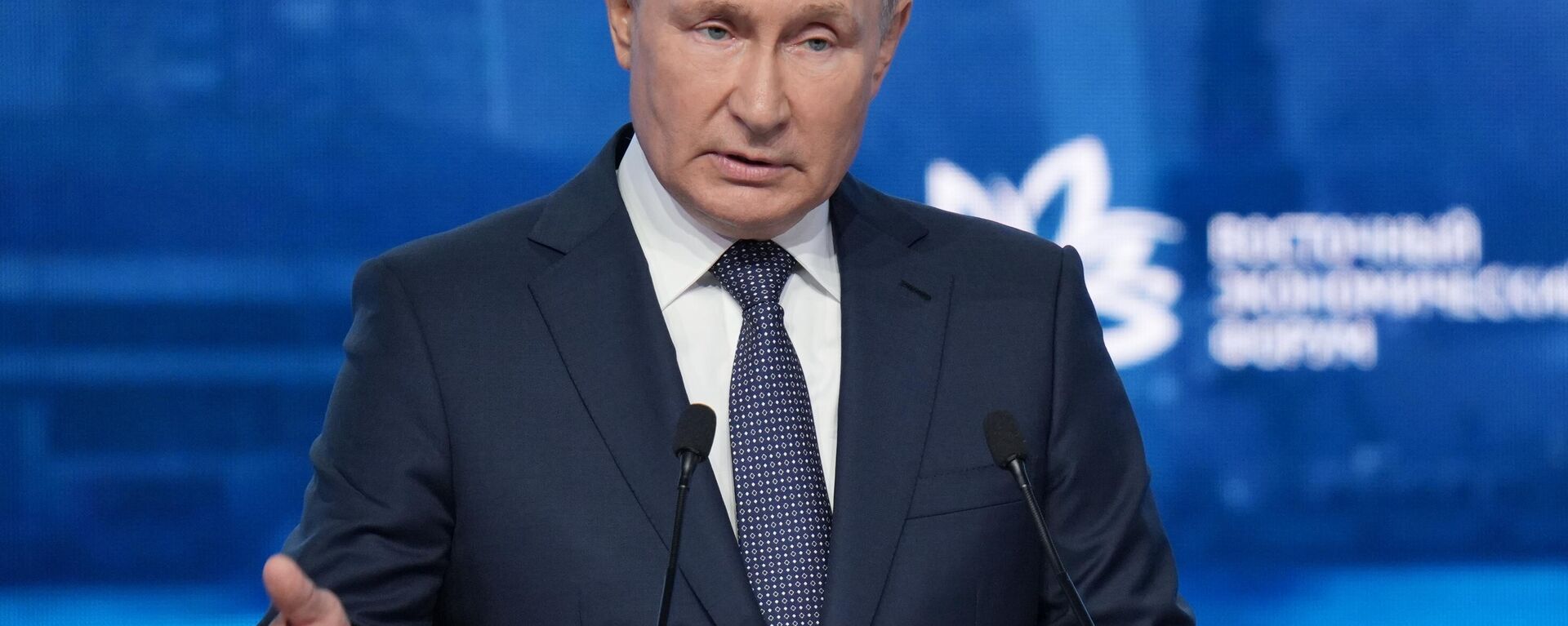الرئيس الروسي فلاديمير بوتين خلال الجلسة العامة للمنتدى الاقتصادي الشرقي في فلاديفوستوك، روسيا - سبوتنيك عربي, 1920, 04.12.2023