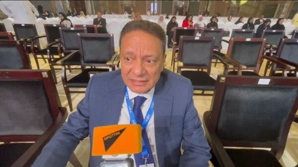 رئيس المجلس الأعلى لتنظيم الإعلام في مصر كرم جبر - سبوتنيك عربي
