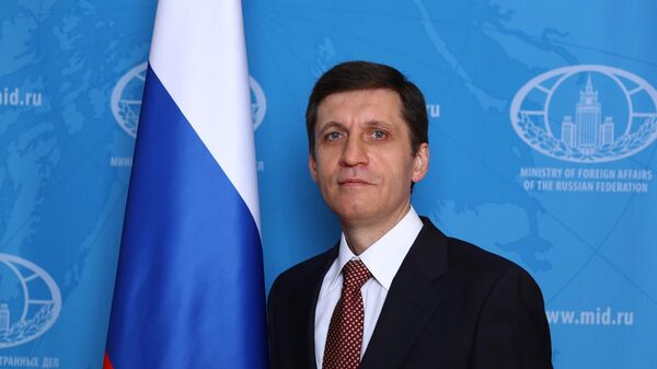 تيمور زابيروف سفير روسيا لدى الإمارات - سبوتنيك عربي