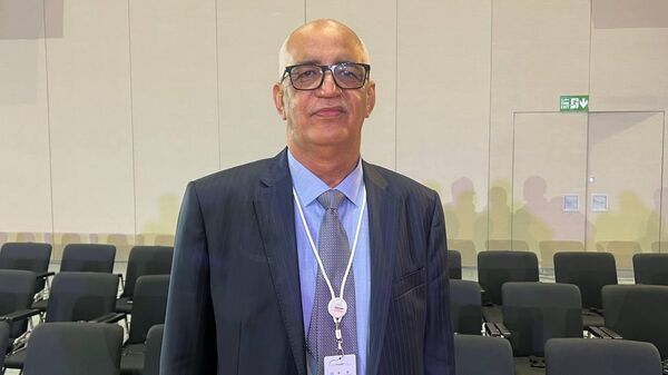 مدير الاستراتيجيات والإحصاء في موريتانيا، عبد الله الزيات - سبوتنيك عربي