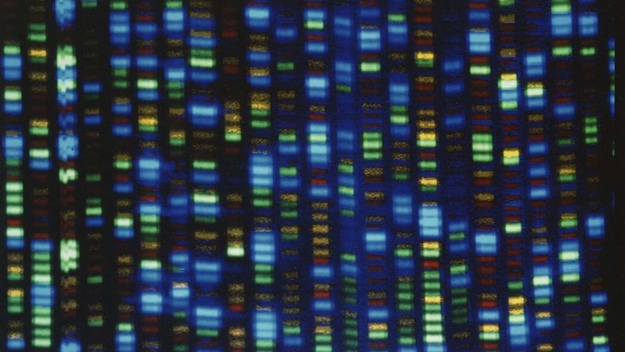 إطلاق مبادرة لإنشاء أضخم قاعدة بيانات في العالم عن الجينوم الأفريقي
