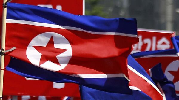 أعلام كوريا الشمالية - سبوتنيك عربي