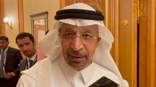 وزير الاستثمار السعودي، المهندس خالد الفالح - سبوتنيك عربي