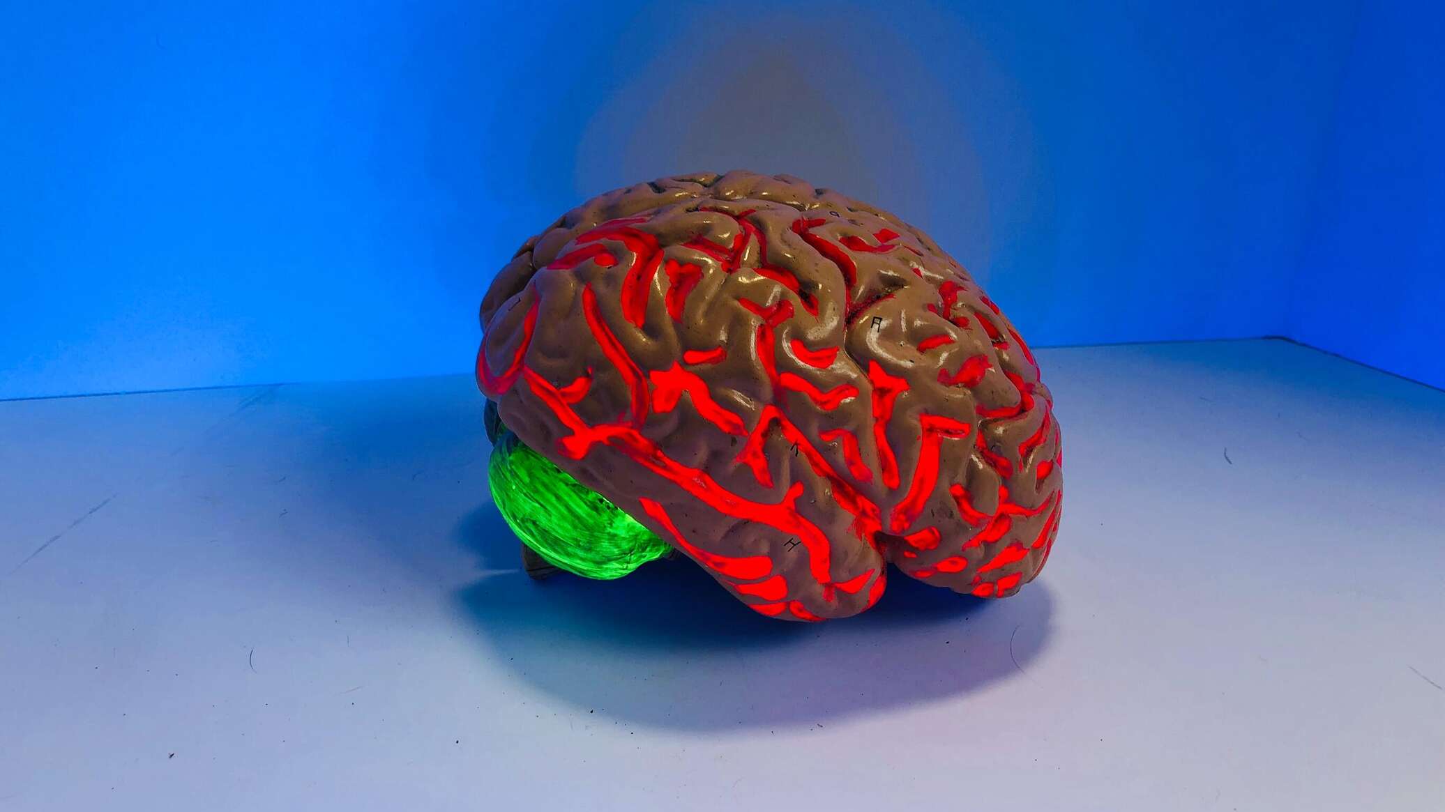 علماء روس يتحكمون بعمل الدماغ باستخدام الروبوتات "النانوية"