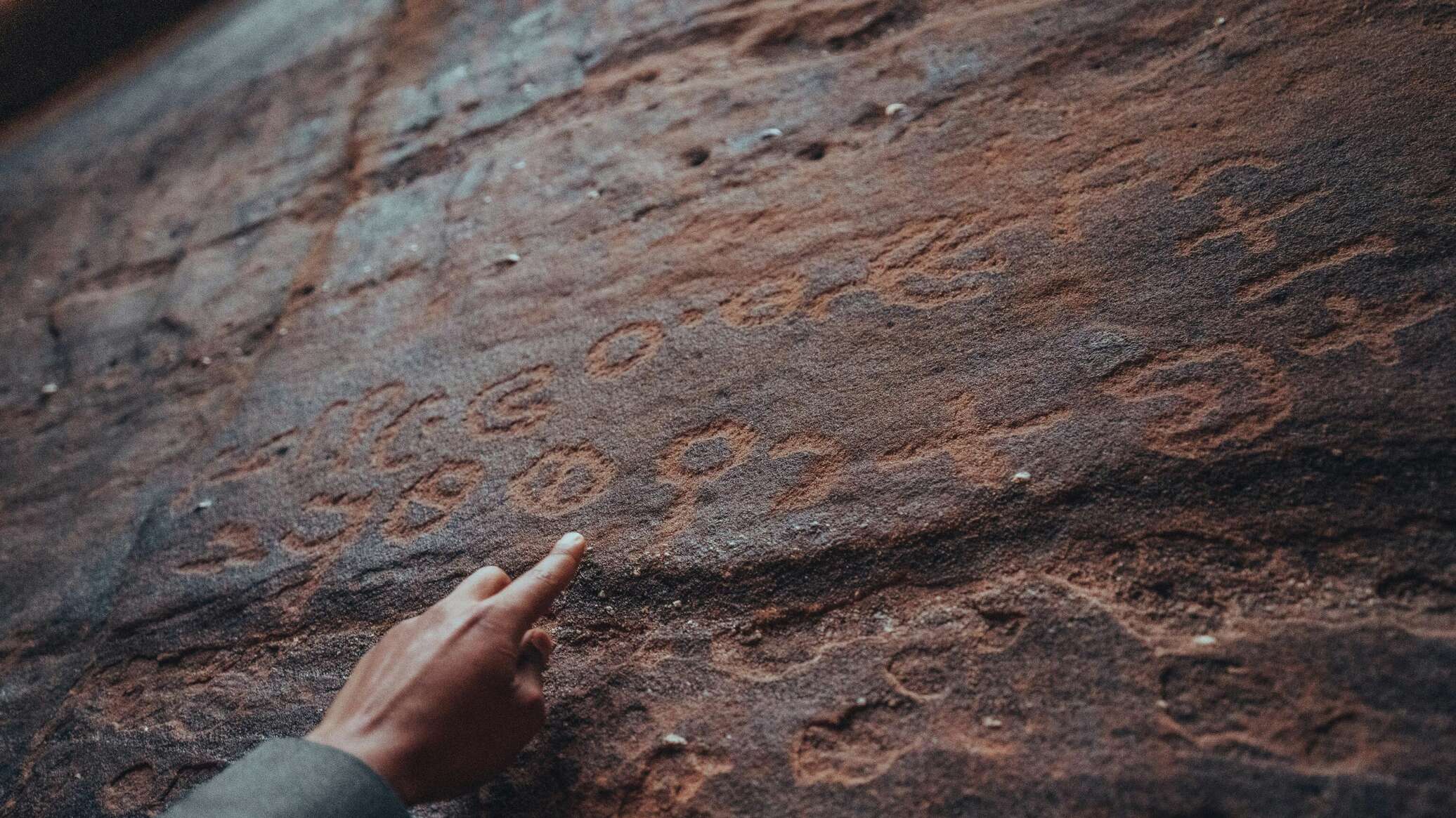 علماء آثار ينبشون لغة سرية عمرها 3000 عام... فيديو