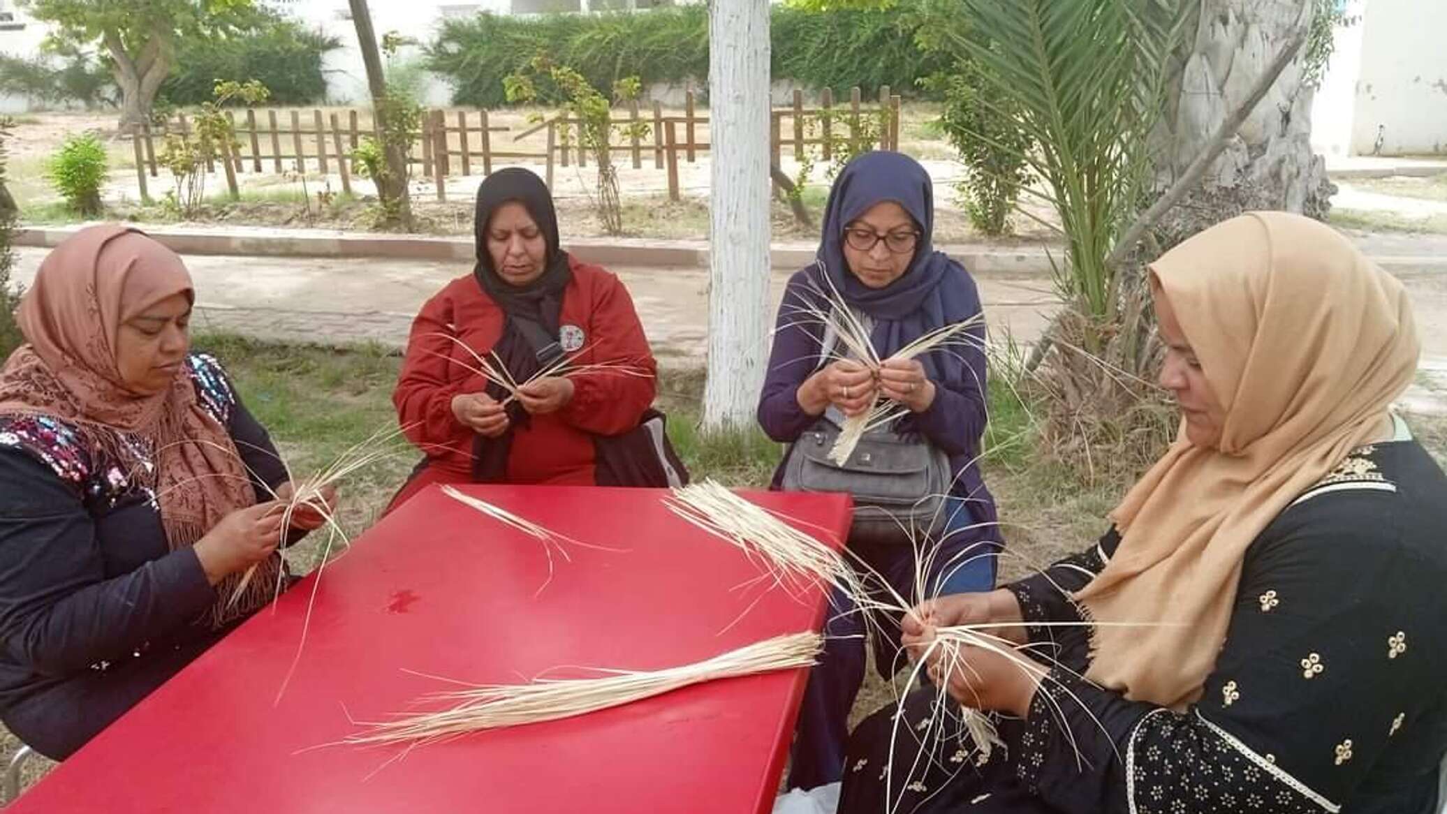 نساء تونس يحاربن تغير المناخ بمخلفات النخيل... صور