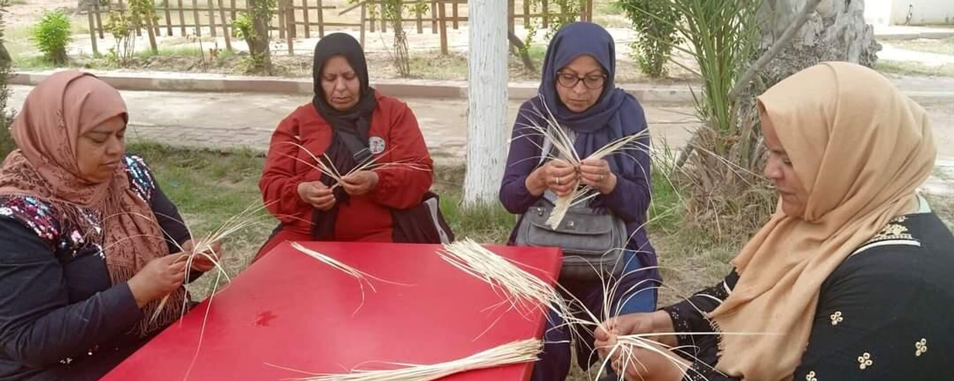 نساء تونس يحاربن تغير المناخ بمخلفات النخيل - سبوتنيك عربي, 1920, 17.11.2023
