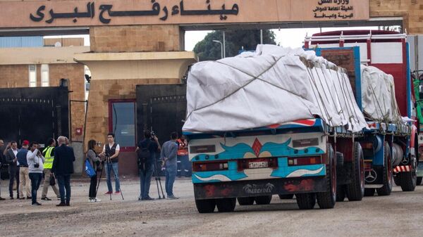 وصول مساعدات إنسانية إلى مطار العريش لإيصالها إلى غزة - سبوتنيك عربي