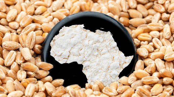 صورة للقارة الأفريقية ضمن حبات القمح (صورة أرشيفية)  - سبوتنيك عربي