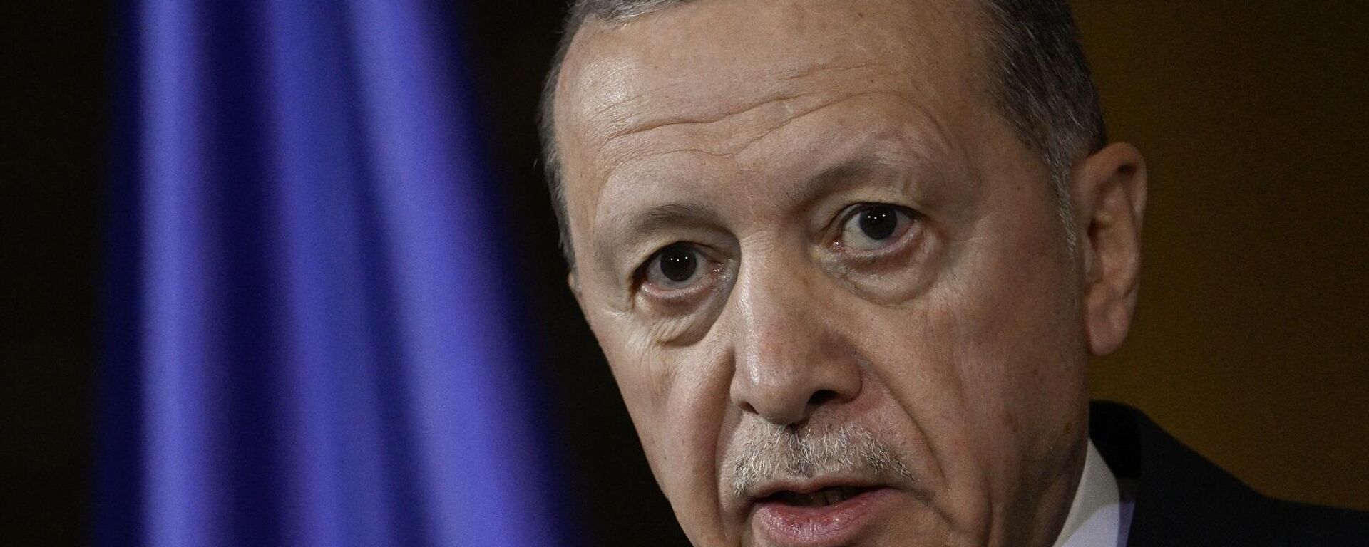 الرئيس التركي، رجب طيب أردوغان - سبوتنيك عربي, 1920, 23.04.2024