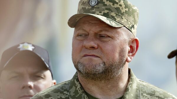 القائد العام للجيش الأوكراني زالوجني - سبوتنيك عربي