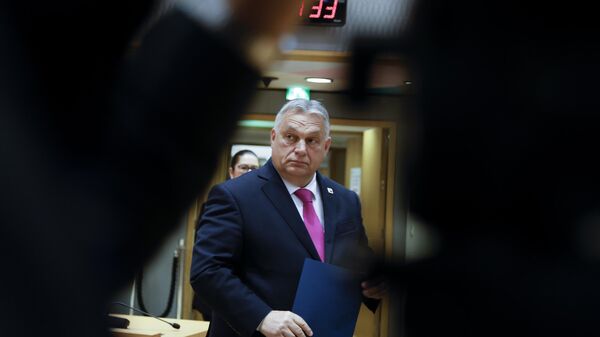 رئيس الوزراء المجري فيكتور أوربان - سبوتنيك عربي