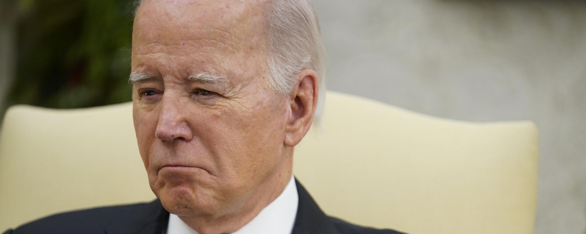 الرئيس جو بايدن الرئيس جو بايدن – وطن نيوز العربية، 1920، 15.01.2024