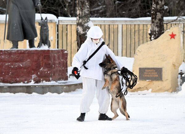 جندي من خدمات الكلاب الخاصة التابعة للقوات الهندسية التابعة للقوات المسلحة الروسية أمام النصب التذكاري &quot;مربي الكلاب&quot; في ضواحي موسكو. - سبوتنيك عربي