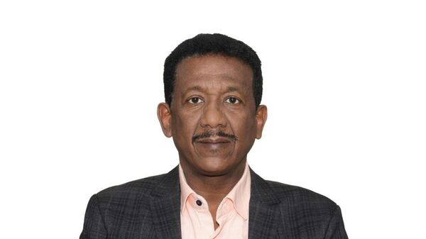 الدكتور محمد الزين رئيس المجلس السوداني النرويجي  - سبوتنيك عربي
