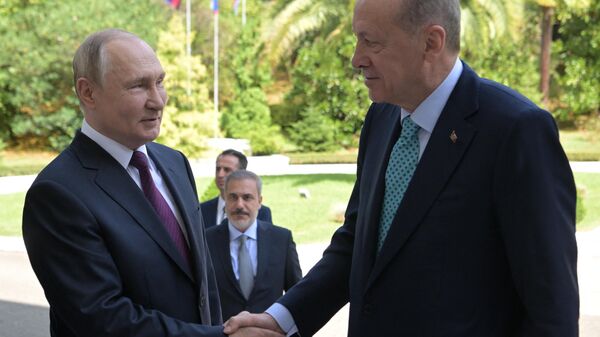 الرئيس الروسي فلاديمير بوتين وهو يرحب بنظيره التركي رجب طيب أردوغان - سبوتنيك عربي