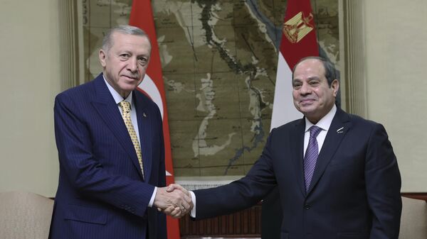الرئيس المصري عبد الفتاح السيسي والرئيس التركي رجب طيب أردوغان - سبوتنيك عربي