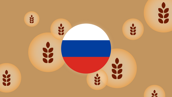 أكملت روسيا توريد 200 ألف طن من الحبوب إلى ست دول إفريقية - سبوتنيك عربي