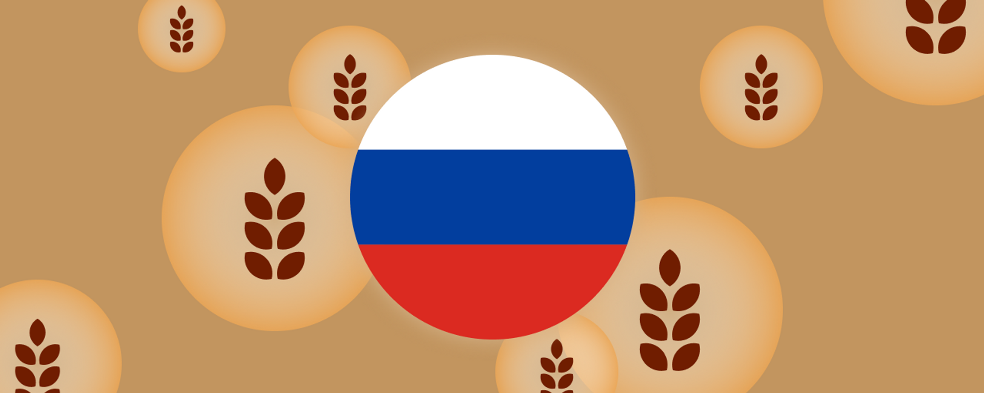 أكملت روسيا توريد 200 ألف طن من الحبوب إلى ست دول إفريقية - سبوتنيك عربي, 1920, 22.02.2024