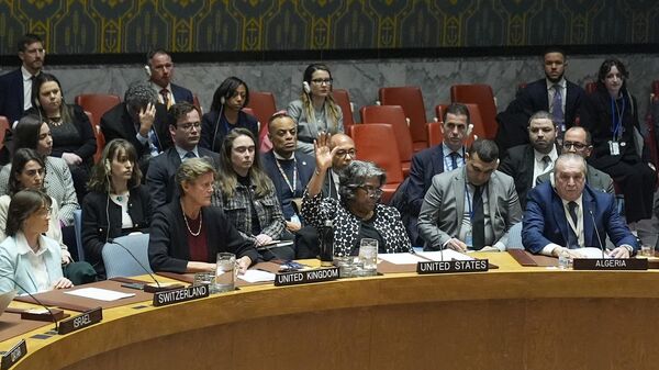 سفيرة الولايات المتحدة لدى الأمم المتحدة، تصوت ضد قرار وقف إطلاق النار في غزة، خلال جلسة مجلس الأمن 20 فبراير 2024. - سبوتنيك عربي