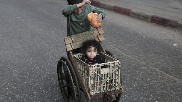 صبي يدفع طفلاً في عربة في رفح، جنوب قطاع غزة. - سبوتنيك عربي