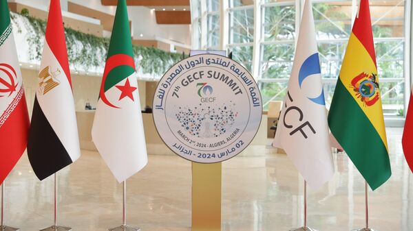 وزراء الطاقة في القمة السابعة لمنتدى الدول المصدرة للغاز بالجزائر - سبوتنيك عربي