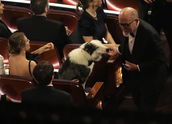 يظهر الكلب ميسي من فيلم &quot;Anatomy of a Fall&quot; أمام الجمهور خلال حفل توزيع جوائز الأوسكار، يوم الأحد 10 مارس 2024، على مسرح دولبي في لوس أنجلوس. - سبوتنيك عربي