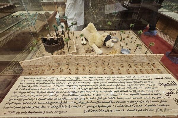 متحف دار المدينة - سبوتنيك عربي