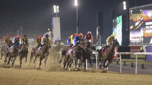 سباق خيل في دبي - سبوتنيك عربي