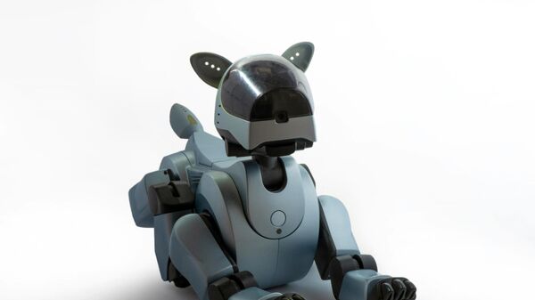 روبوت كلب - سبوتنيك عربي