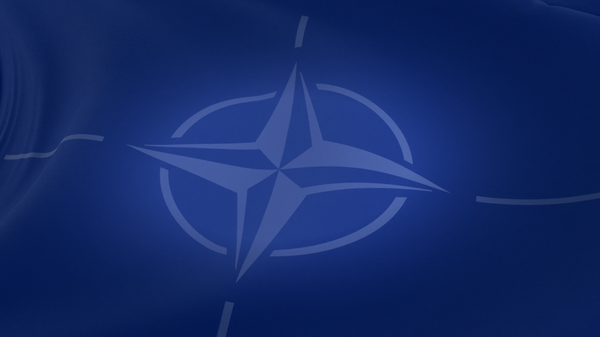 75 عاما على تأسيس الناتو - سبوتنيك عربي