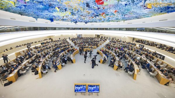 مجلس حقوق الإنسان التابع للأمم المتحدة - سبوتنيك عربي