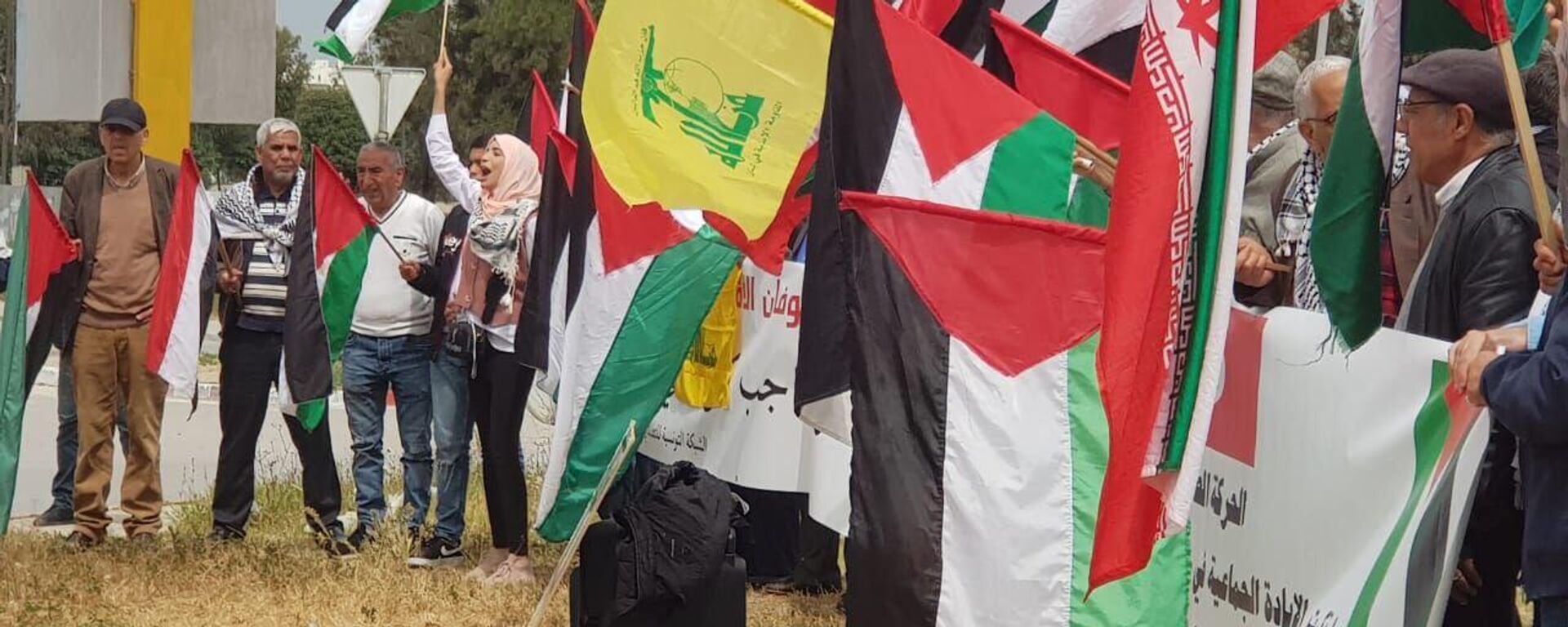  تونسيون يتضامنون مع فلسطين ويطالبون بطرد السفير - سبوتنيك عربي, 1920, 14.04.2024