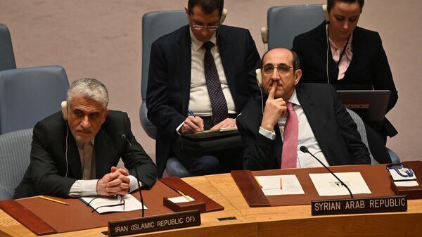 مندوب إيران لدى مجلس الأمن الدولي، أمير سعيد إيرواني - سبوتنيك عربي
