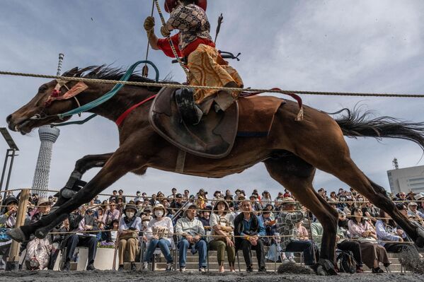 رامي سهام يرتدي زي محارب الساموراي القديم يركب حصانًا بعد إطلاق سهم على هدف خلال عرض يابوسامي للرماية على ظهور الخيل لفنون القتال الساموراي في حديقة سوميدا في طوكيو، في 20 أبريل 2024. - سبوتنيك عربي