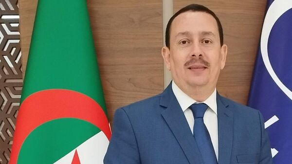 المرشح الرئاسي بلقاسم ساحلي - الجزائر - سبوتنيك عربي