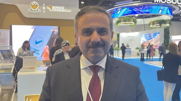 رئيس هيئة الاستثمار في إقليم كردستان العراق، محمد شكري سعيد - سبوتنيك عربي