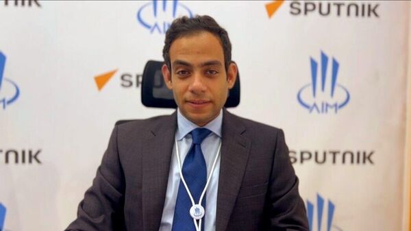 الدكتور حاتم فتحي عامر مساعد وزير الصحة المصري للعلاقات الدولية - سبوتنيك عربي