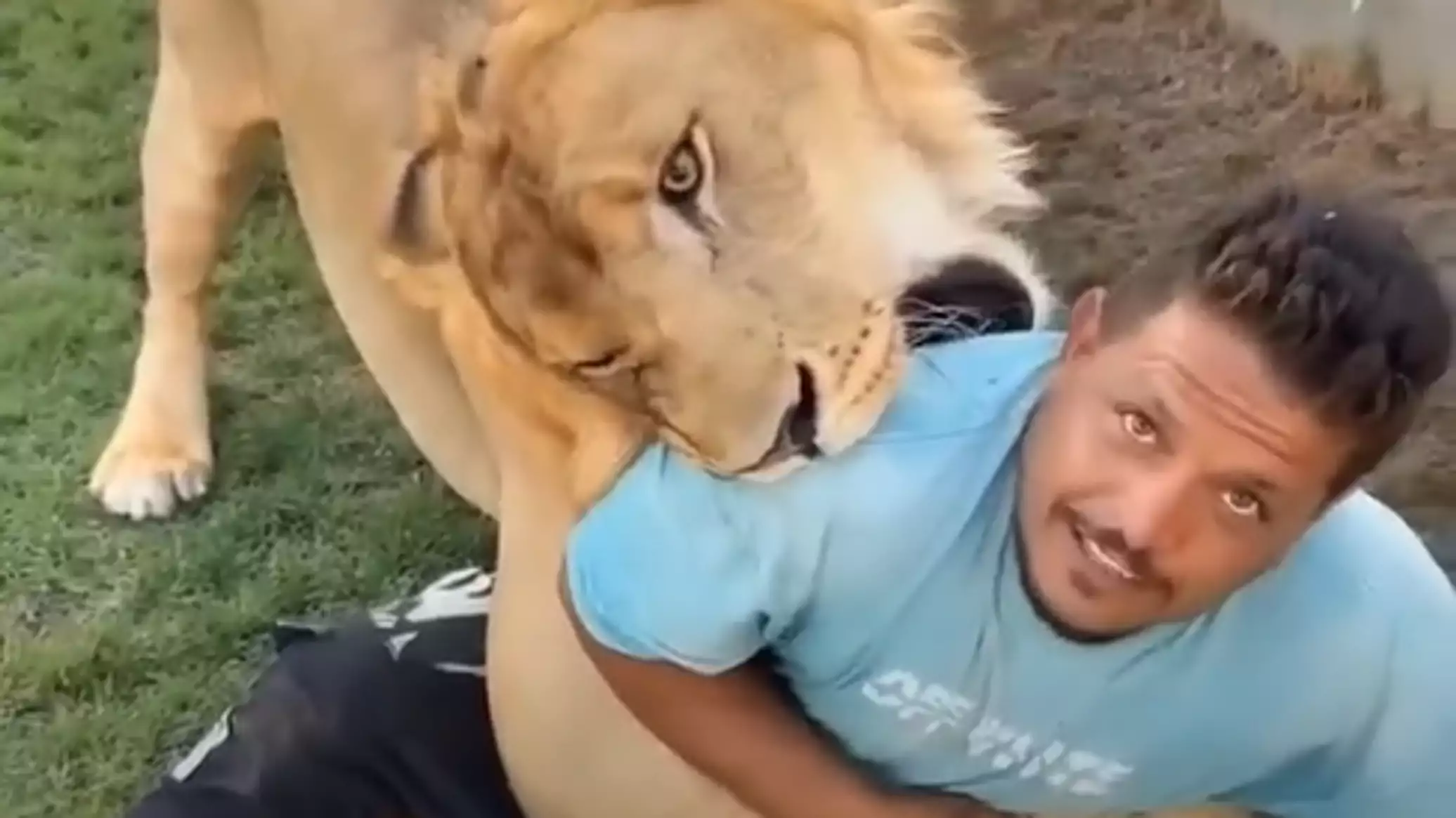 مشهد أثار غضبا كبيرا.. ليبي يطلق أسده على عامل مصري.. فيديو