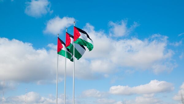 أعلام فلسطينية ترفرف - سبوتنيك عربي